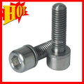 Gr7 Mini Titanium Bolt et Titanium Screw